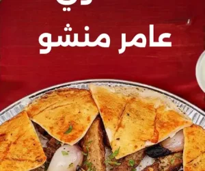 mobile-app-01-promo